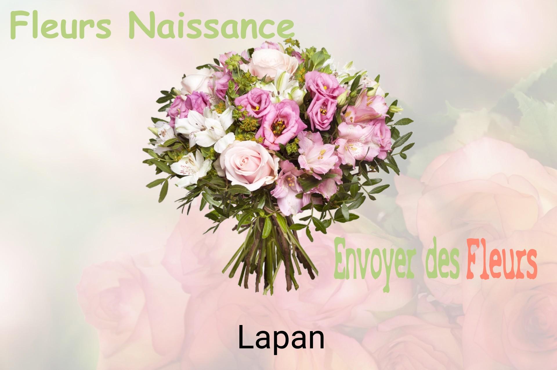 Bouquet de fleurs de naissance livré à Lapan